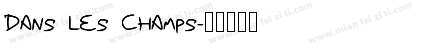 DANS LES CHAMPS字体转换